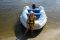 Надувний човен RIB Adventure Vesta V-345